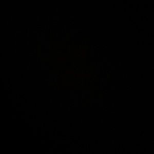 Meet your Posher, Zain